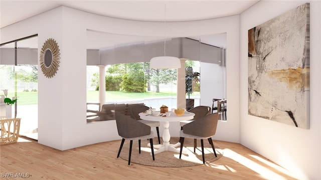 dining space featuring a healthy amount of sunlight and light hardwood / wood-style floors