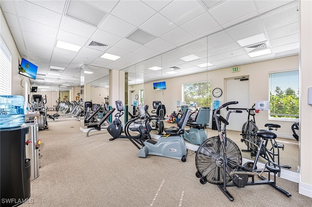 gym with a paneled ceiling, plenty of natural light, and carpet flooring