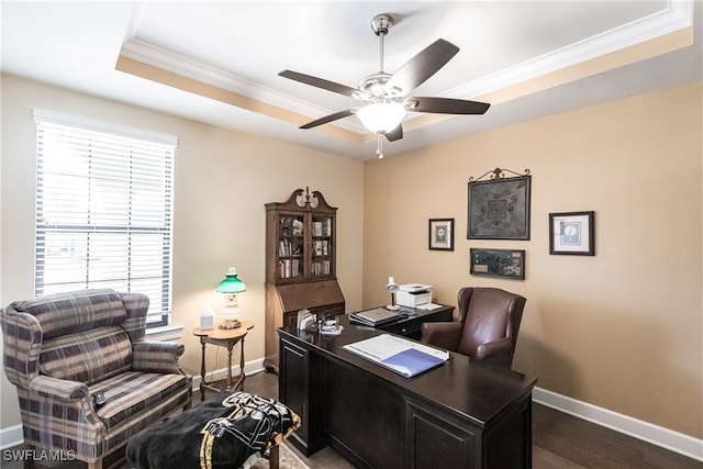 office featuring ceiling fan, a raised ceiling, crown molding, and dark hardwood / wood-style flooring