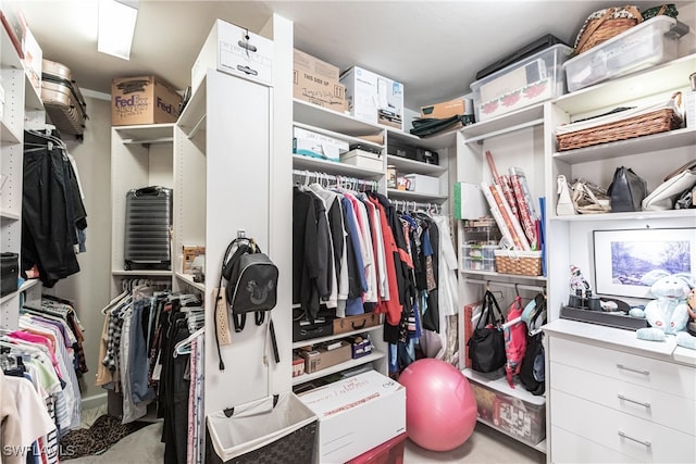 view of spacious closet