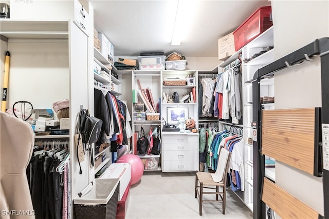 spacious closet with light colored carpet