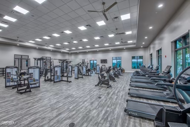 exercise room with wood-type flooring, a high ceiling, ceiling fan, and a paneled ceiling