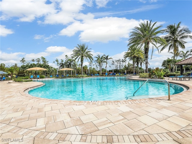 view of pool with a patio