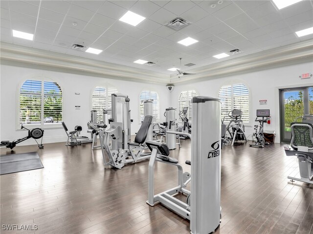 workout area with a drop ceiling, ceiling fan, and dark wood-type flooring