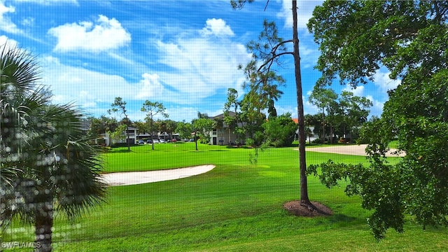 view of home's community with a yard