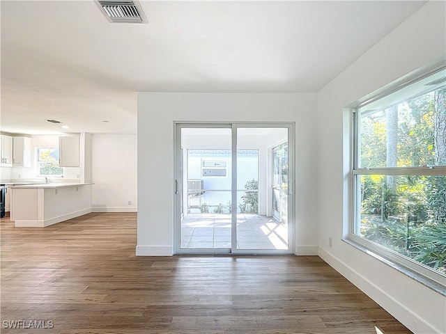 interior space with wood-type flooring, sink, and a wealth of natural light