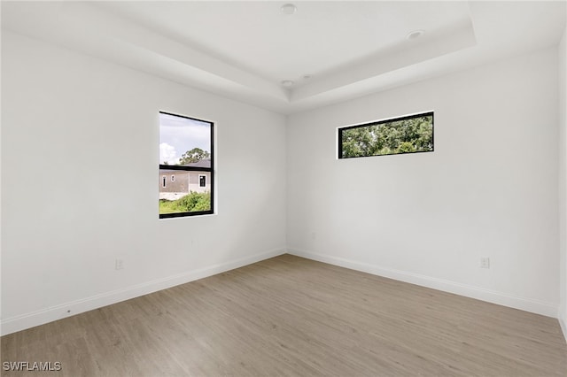 unfurnished room with light wood-type flooring and a raised ceiling