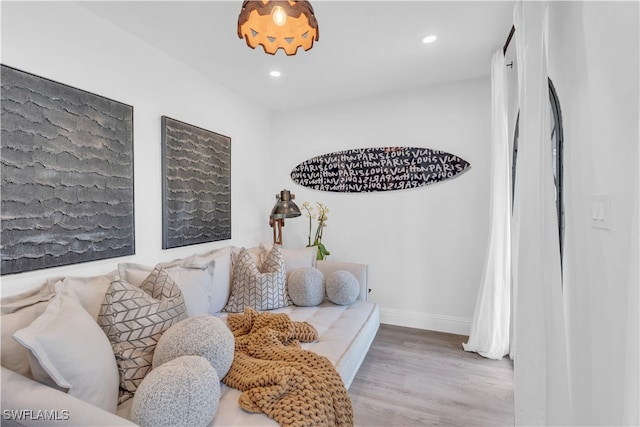 living room featuring light hardwood / wood-style flooring