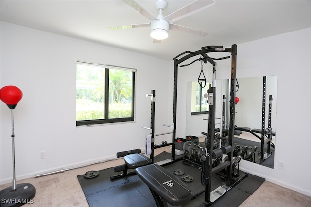 exercise room with ceiling fan and carpet flooring