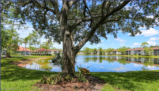 property view of water