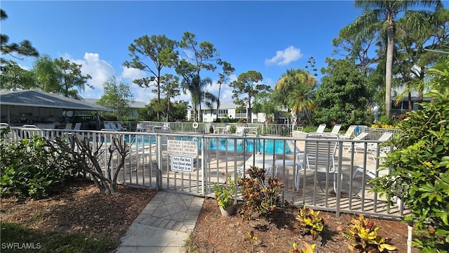 view of swimming pool with a patio area