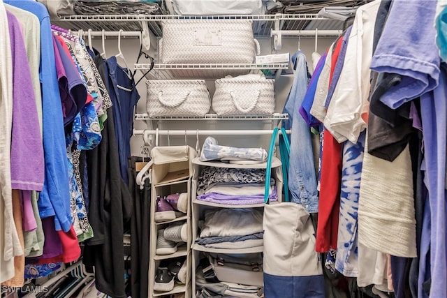 view of spacious closet