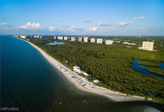 aerial view with a view of the beach and a water view