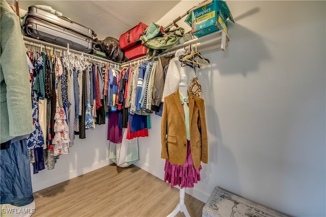 spacious closet with hardwood / wood-style flooring