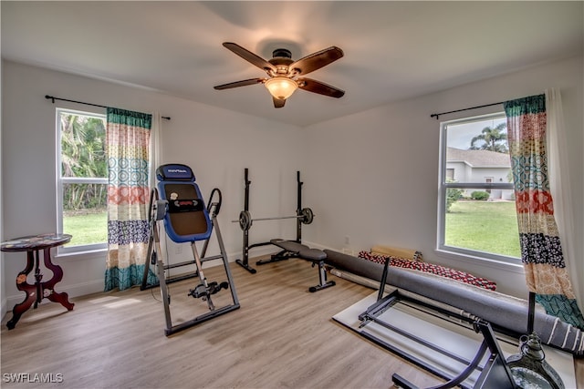 exercise area with a wealth of natural light and light hardwood / wood-style floors