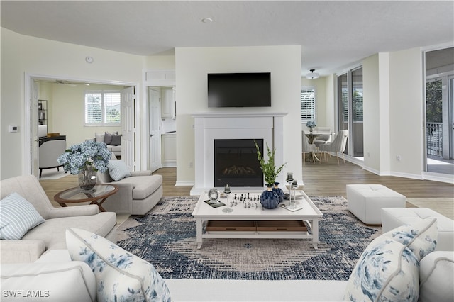 living room featuring hardwood / wood-style flooring