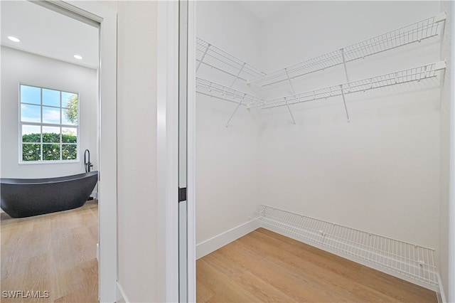 walk in closet with wood-type flooring