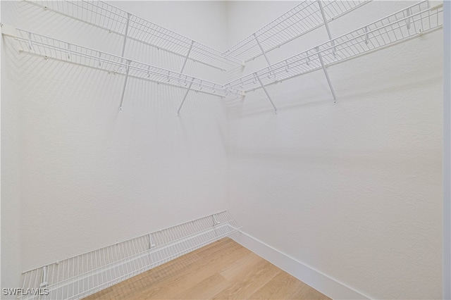 spacious closet with wood-type flooring