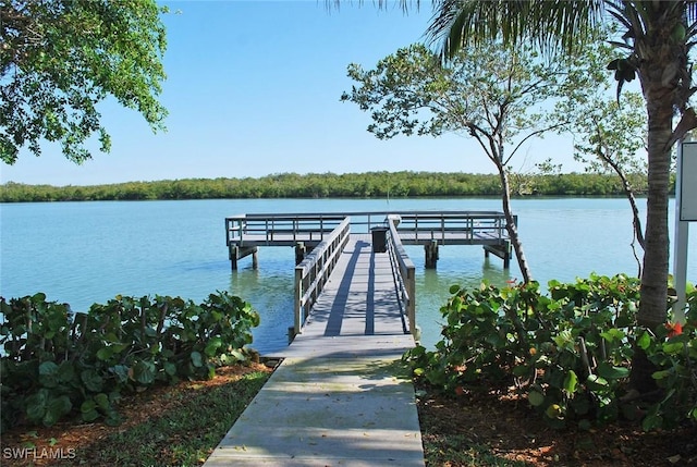 view of dock with a water view