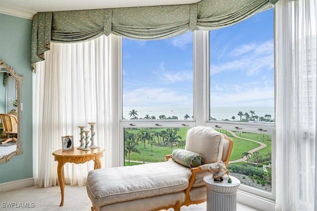 sitting room featuring a water view, plenty of natural light, and carpet