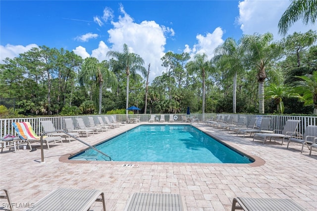 view of pool featuring a patio