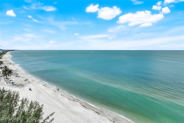 property view of water with a beach view