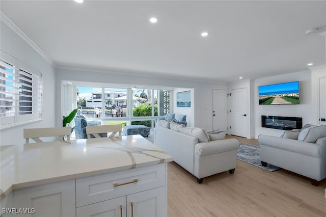 living room featuring ornamental molding and light hardwood / wood-style flooring