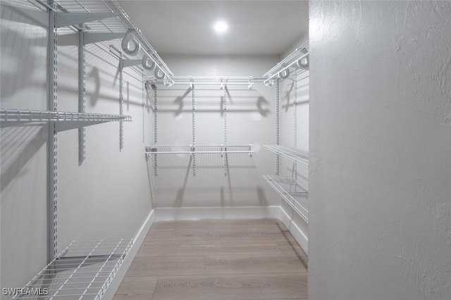 walk in closet featuring hardwood / wood-style floors