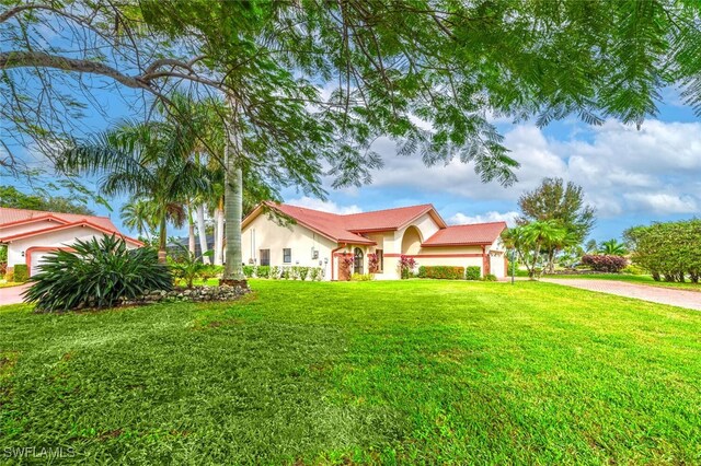 ranch-style house with a front yard