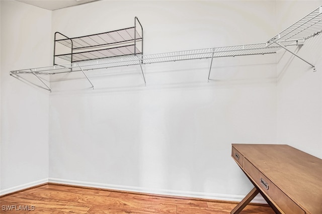 spacious closet with wood-type flooring