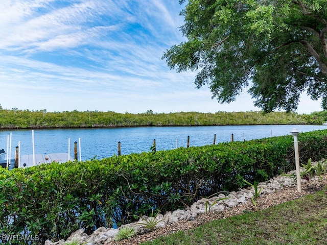 property view of water