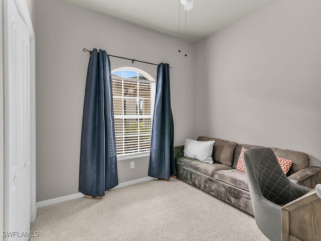 view of carpeted living room