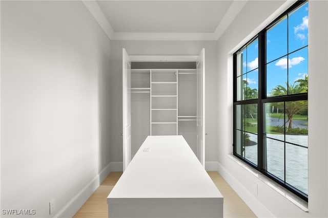 spacious closet featuring light hardwood / wood-style floors