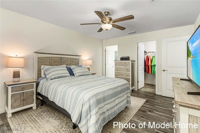 bedroom featuring a spacious closet, ceiling fan, a closet, and dark wood-type flooring