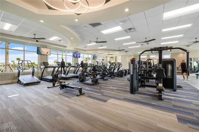 exercise room with carpet, ceiling fan, and a drop ceiling