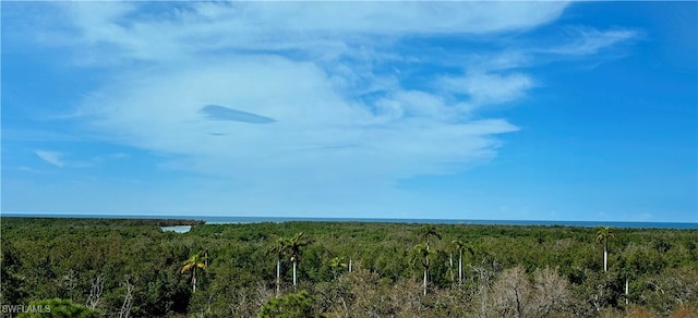 view of local wilderness