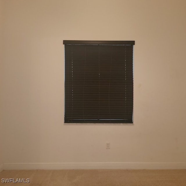 interior details featuring carpet flooring