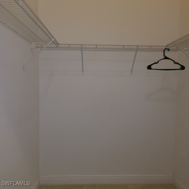 walk in closet featuring carpet