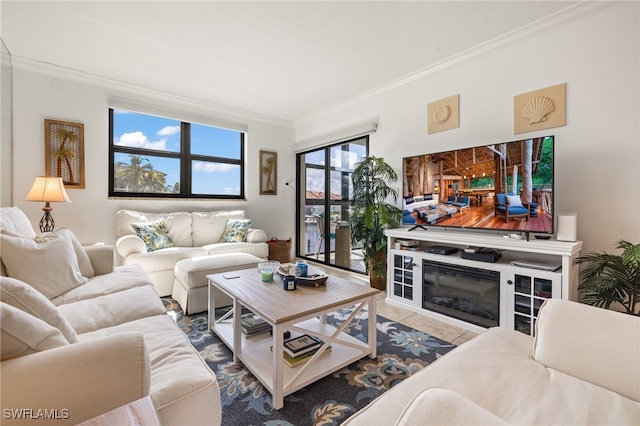 living room with a healthy amount of sunlight and ornamental molding