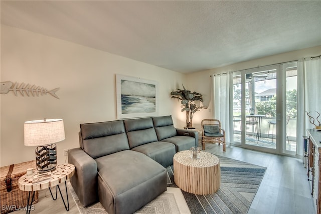 living room featuring light hardwood / wood-style floors and a textured ceiling