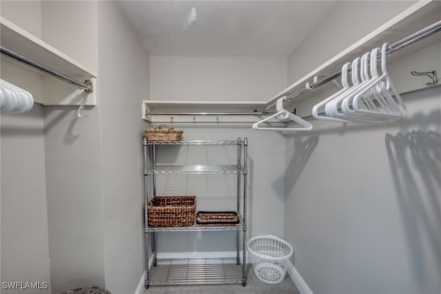 view of spacious closet