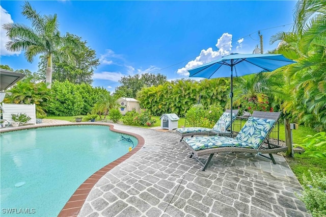 view of swimming pool featuring a storage unit and a patio