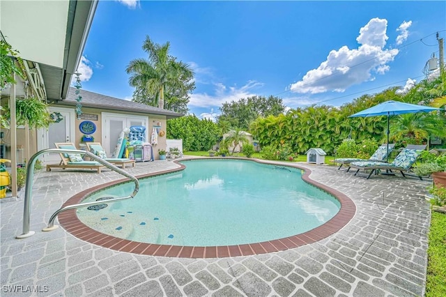 view of pool with a patio area