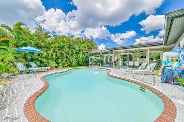 view of pool with a patio area