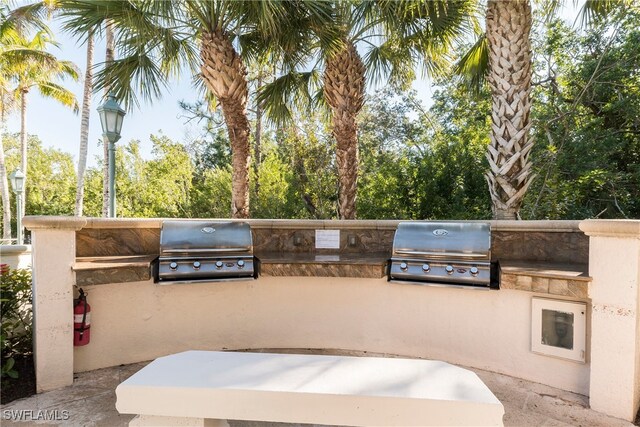 view of patio / terrace with area for grilling and exterior kitchen