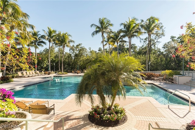 view of pool featuring a patio area