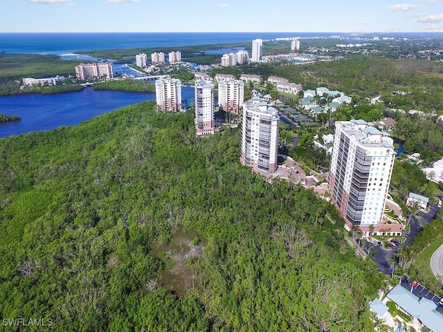 drone / aerial view with a water view