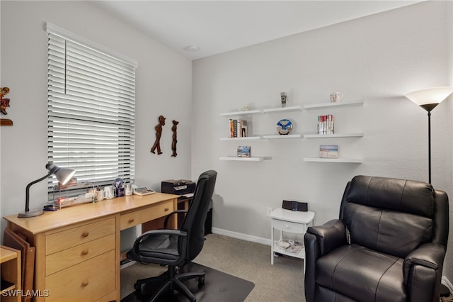 office featuring carpet floors