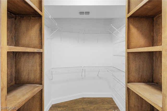 spacious closet featuring wood-type flooring