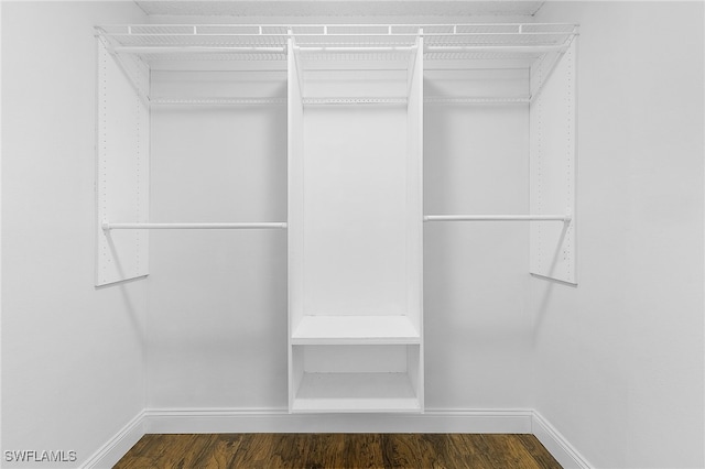 spacious closet with dark wood-type flooring